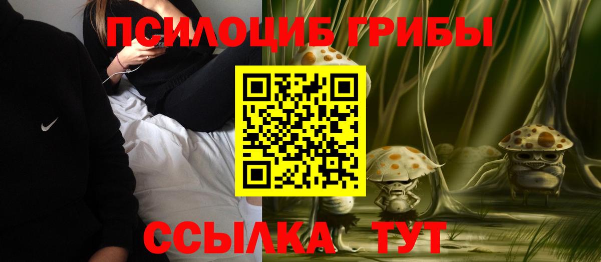 Галлюциногенные грибы Psilocybe Кисловодск