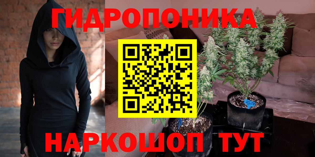 Бошки марихуана Ganja Кисловодск
